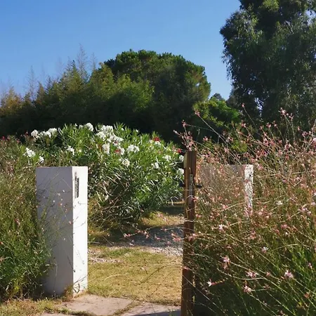 House Siniscola