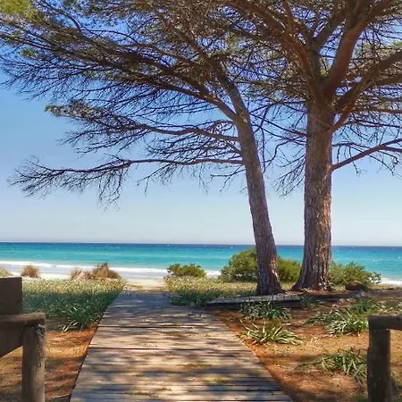 House سينيسكولا